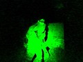 夜戦キツネ狩り
