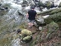 真夏の川遊び・・・・