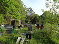 平地フィールド 柿果樹園