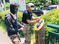 クワガタ見つけたー!!でかっ!