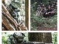 チームトレーニング・森林