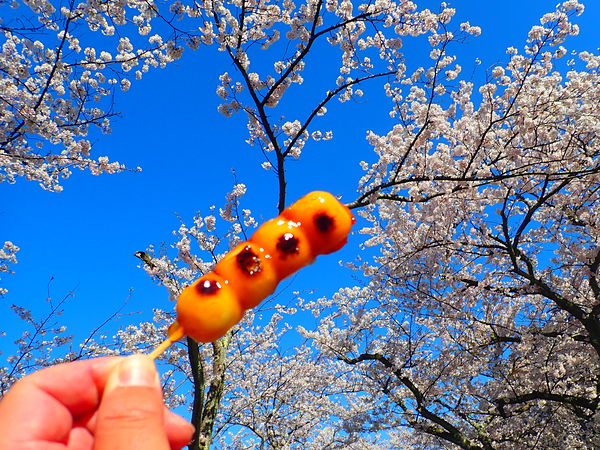 第13弾 海津大崎でみたらし