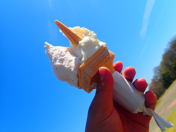 第13弾 桜・りんごジェラート