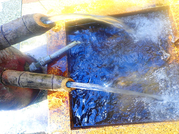 第29弾は湧水も飲み!