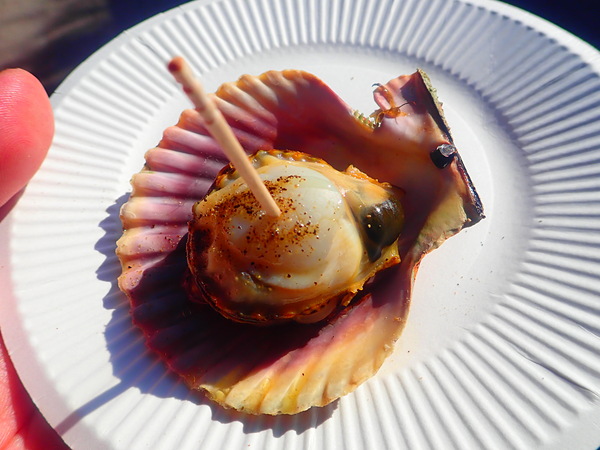 第40弾 おかげ横丁グルメ①