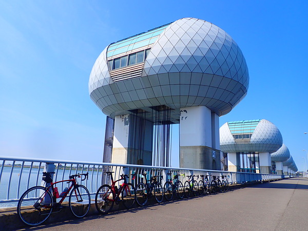 第47弾は8名で桑名迄。