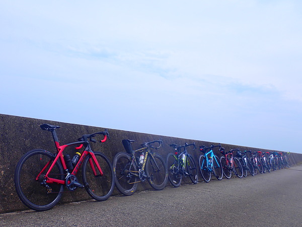 第49弾は12名で関宿に!