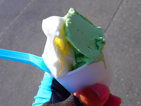 第53弾はいなべジェラート!