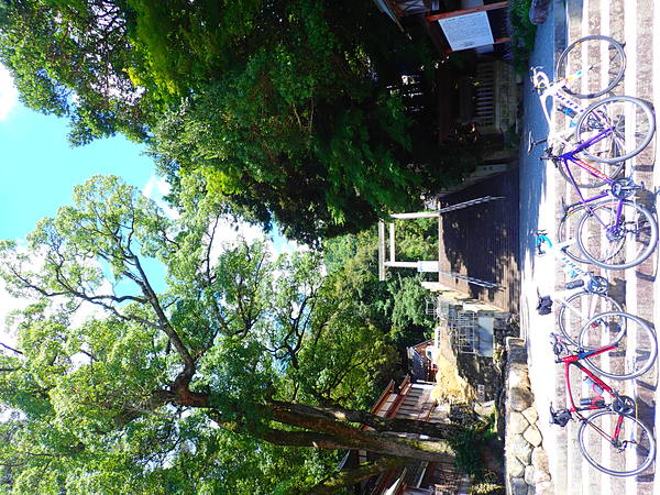 第55弾は員弁&桑名に!