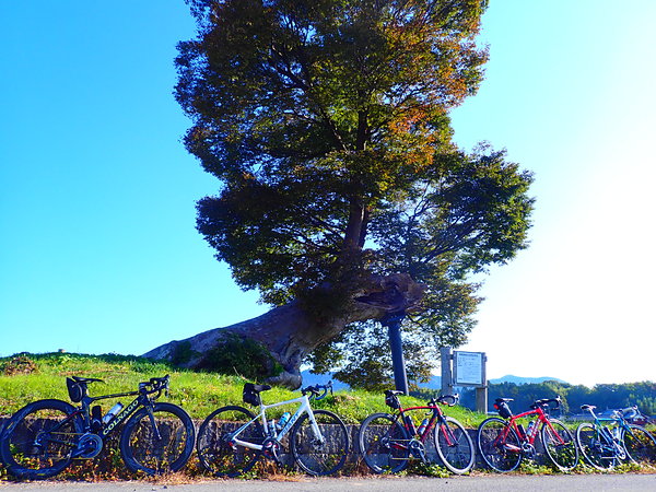 第61弾は近江八幡へ!