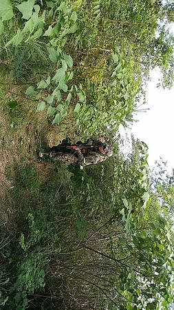 索敵中