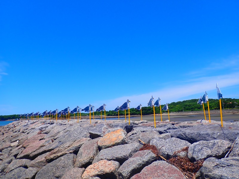 第117弾は佐久島ride!