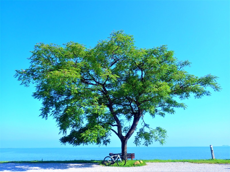 第118弾は滋賀&京都ride