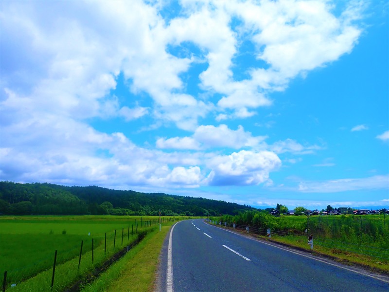 第119弾は高島ride!