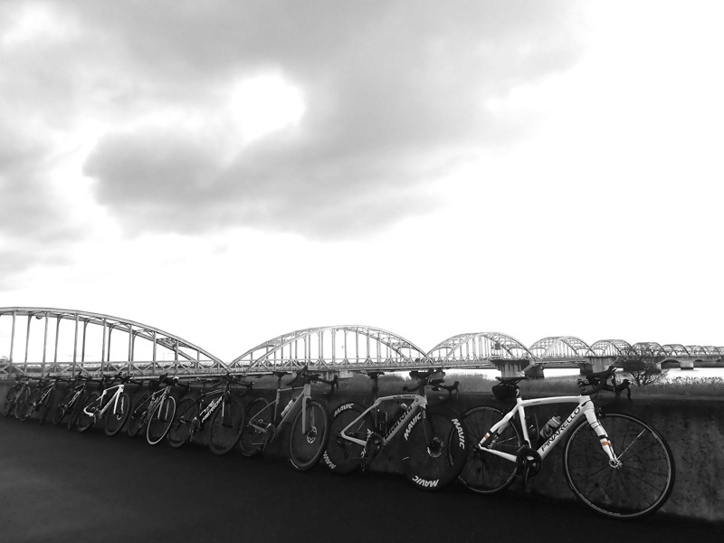 第133弾はミシュラン!