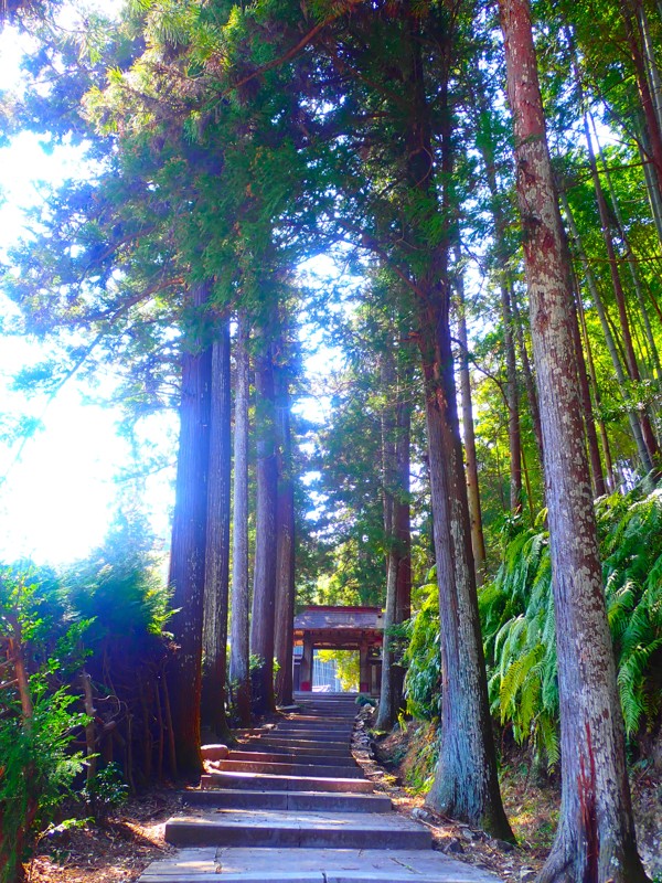 第139弾は岡崎ride!