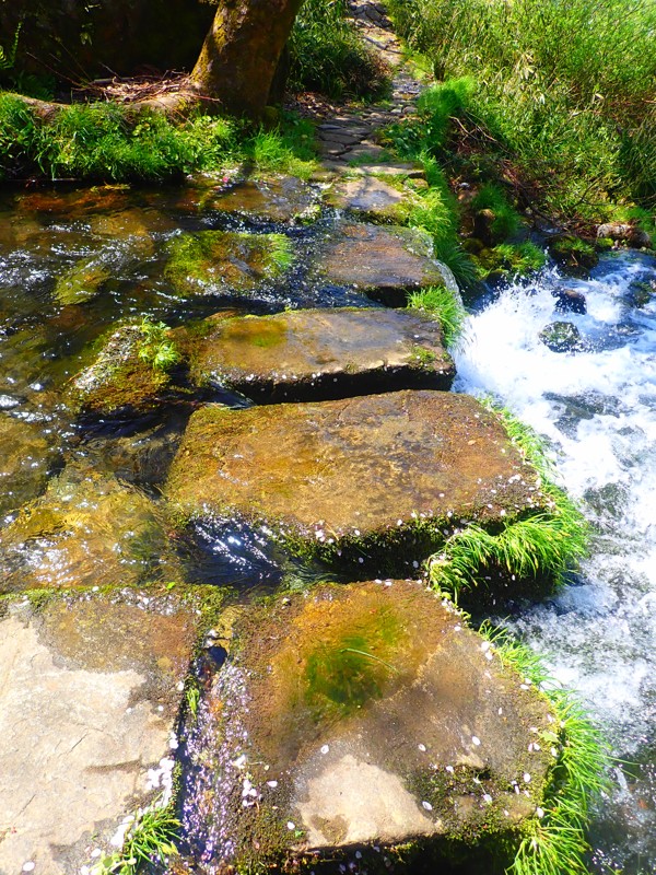 第141弾は郡上八幡!