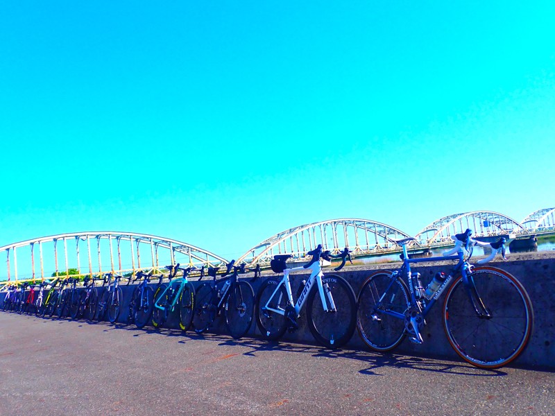 第142弾は鮪&藤!