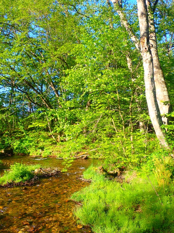 第143弾は安曇野ride!