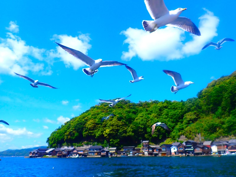 第144弾は伊根・小浜!