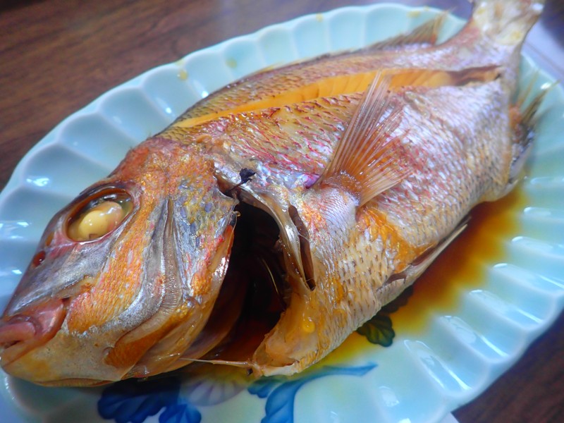 第146弾は知多ride!