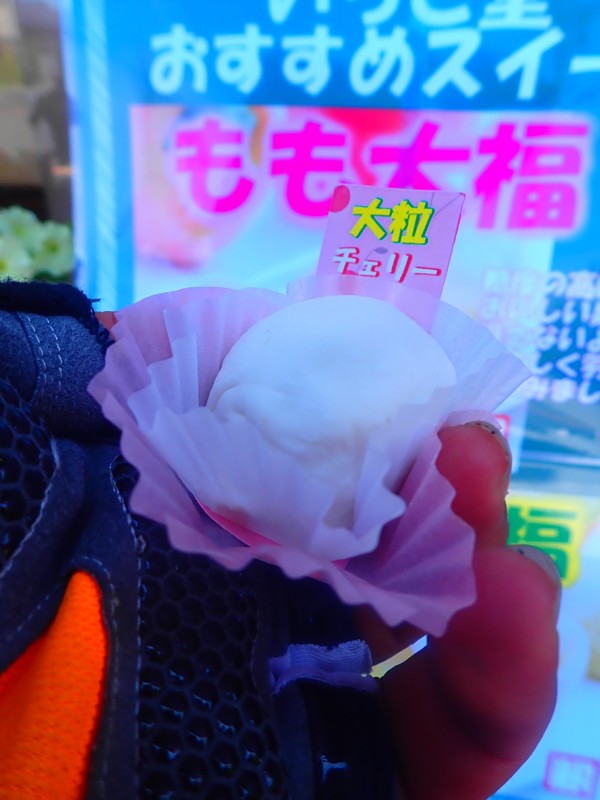 第146弾は知多ride!