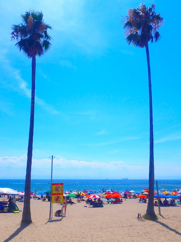 第146弾は知多ride!