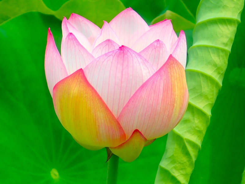 第164弾は岡崎ride!