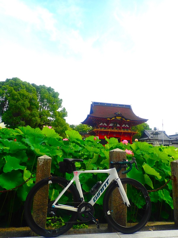 第164弾は岡崎ride!