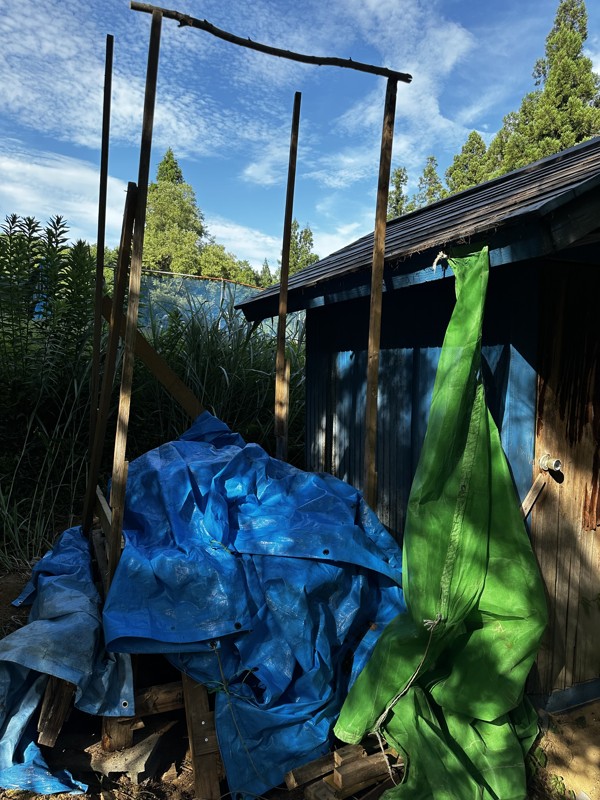 トイレ制作中