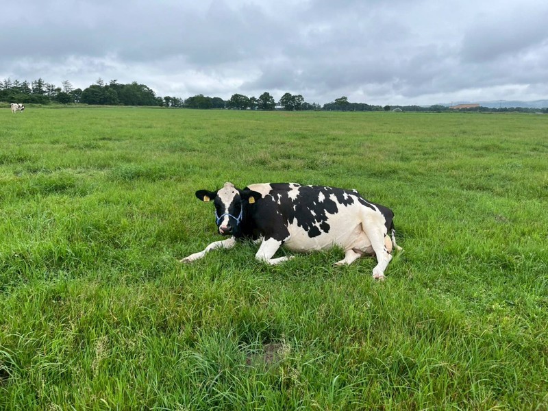 ゆるドア 北海道遠征