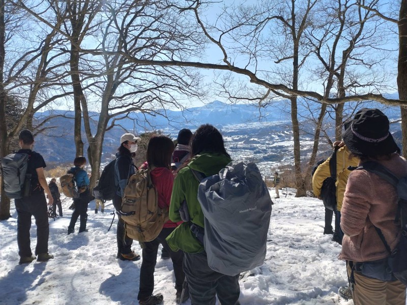 秩父・蠟梅ハイキング
