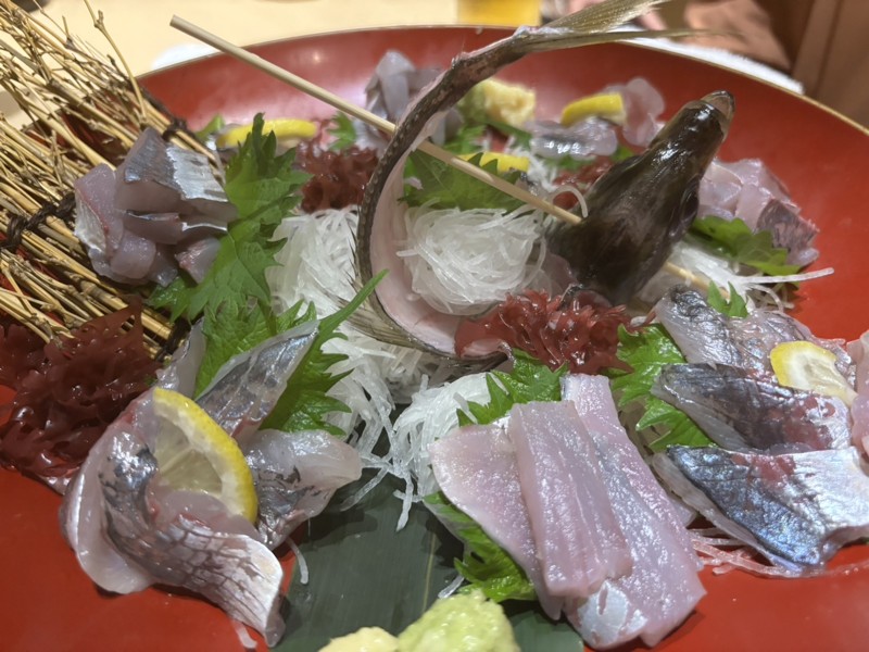 東京湾のアジ釣り