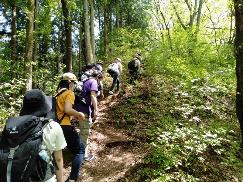 秩父ハイキング