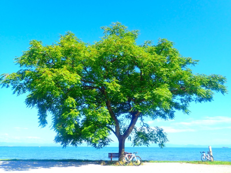 第167弾は近江八幡ride