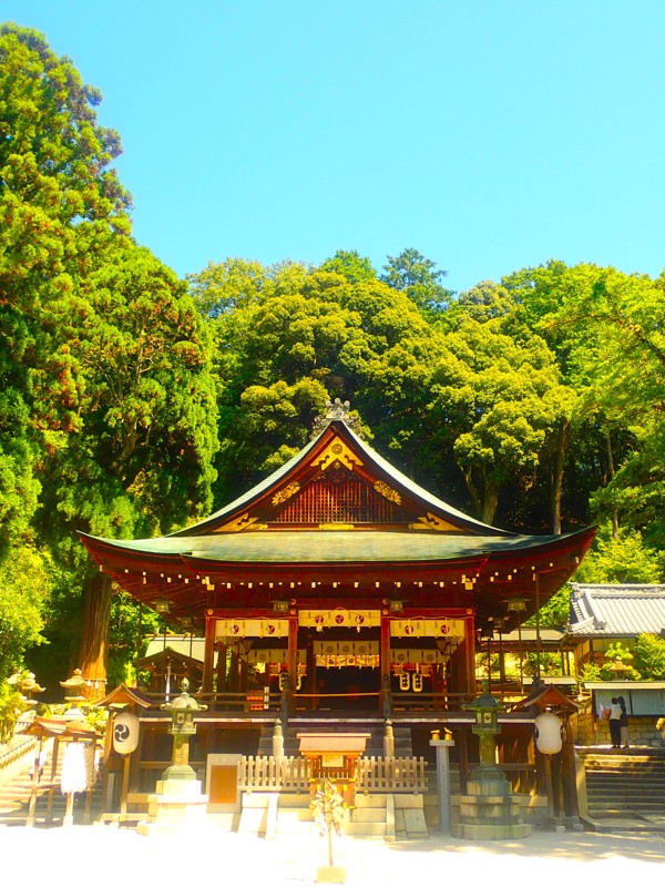 第167弾は近江八幡ride