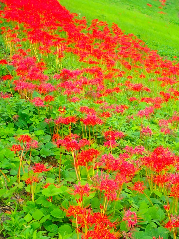 第168弾は大垣ride