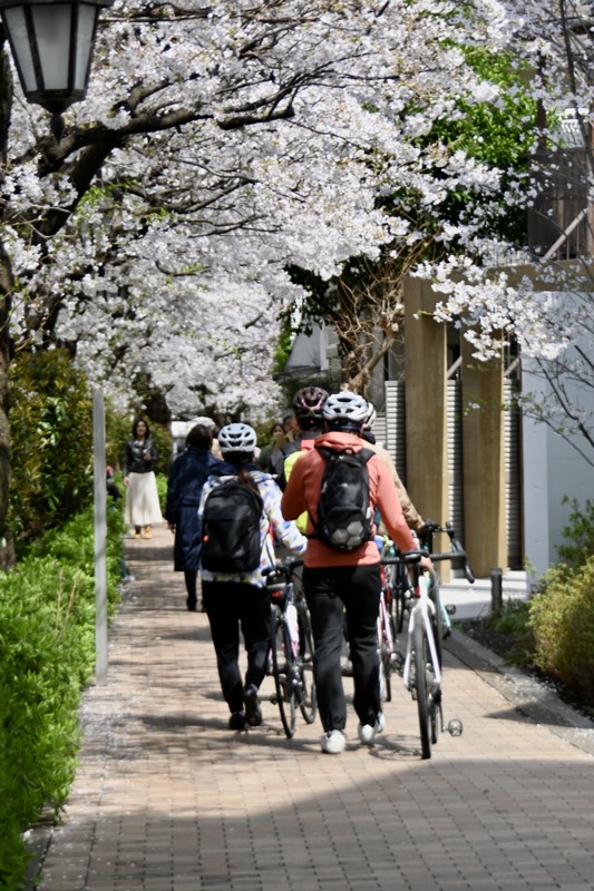 ポタリングついでに