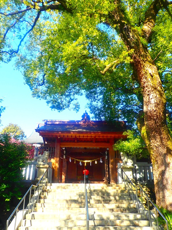 第174回は岐阜ride