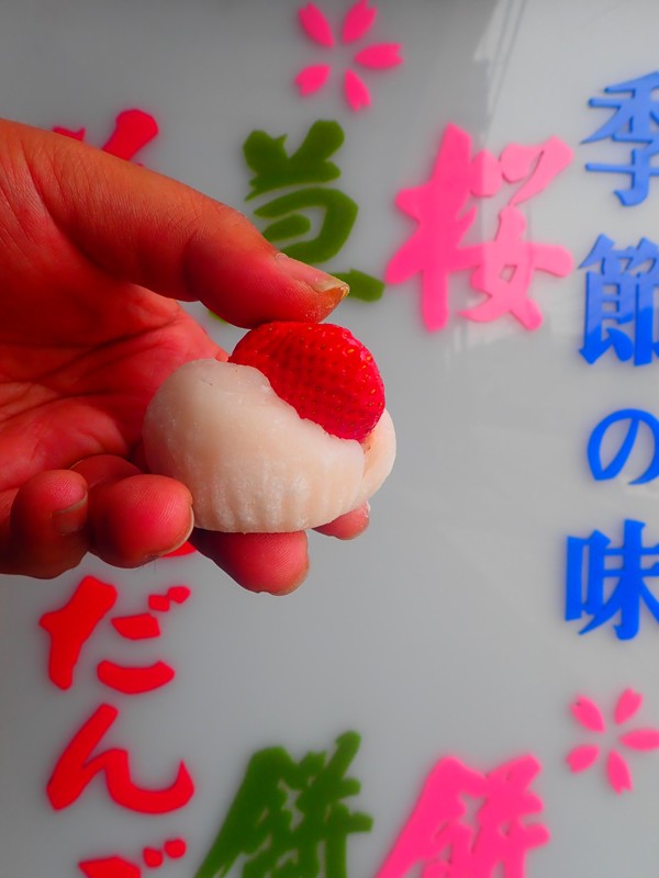 第176回は岐阜桜ride