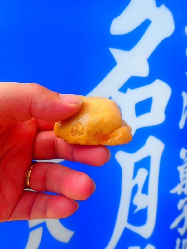 第176回は岐阜桜ride