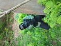 殲滅戦!新入隊員