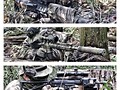 森林戦も楽しいですよ