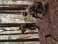 ナイス連携プレー