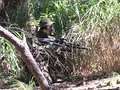 草に隠れるバッタ男