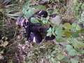 狙い撃ち