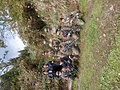 11月10日臨時戦