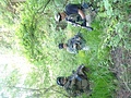作戦会議?