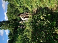 やっと出た